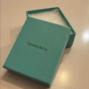 Tiffany & Co. Turquoise Small Gift Box